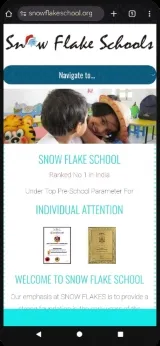 Snow Flake School